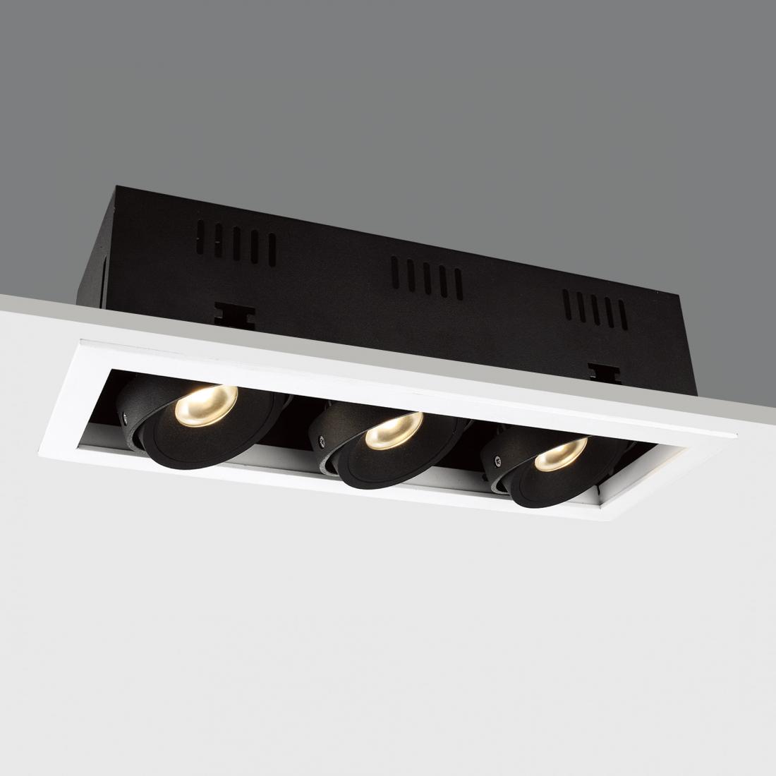 architecture LED downlight